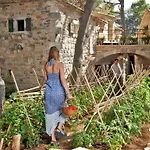 منتجع Amadria Park
